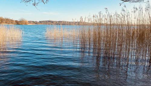 Landhaus am See App. 2 - Foto 4