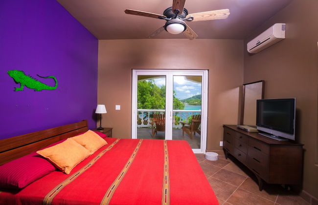 Yellow Bird - Foto 4