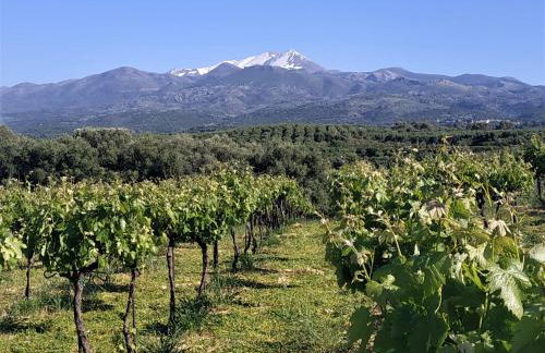 Suite of light rooms - Foto 31