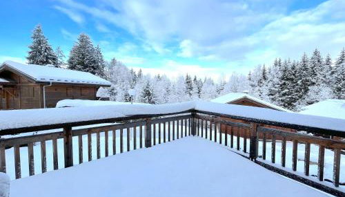 Chalet L'AS DE CARROZ - Foto 2