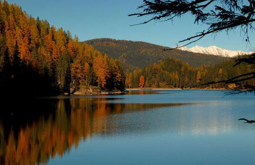 Gstattlhof Mountain Farmhouse - Foto 3