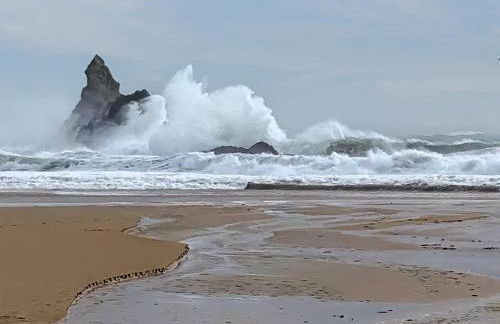 Venton Cottage - Photo 27