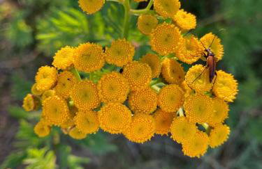 Fewo Sonnblick - Foto 21