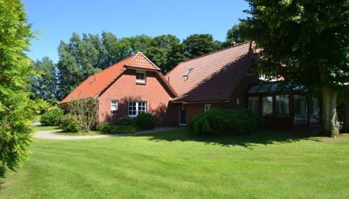 Austernfischer - Foto 3