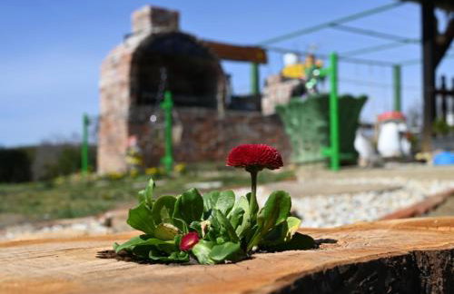 Kuća za odmor Janković - Foto 18