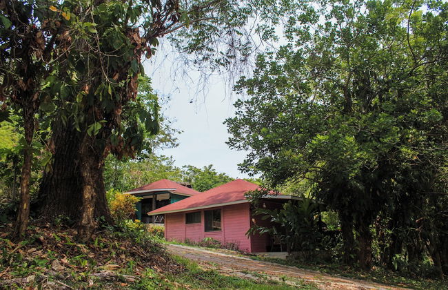 Winíka Alterra - Foto 1