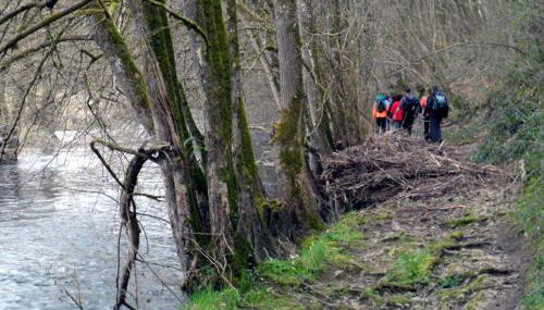 la Rose sur Meuse - Foto 5