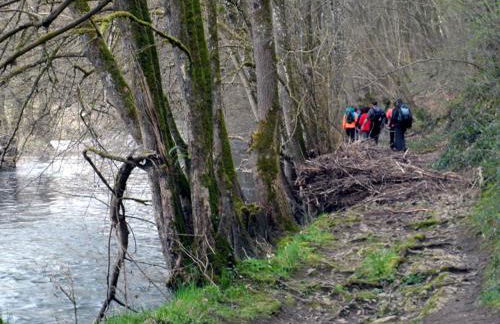 la Rose sur Meuse - Foto 5