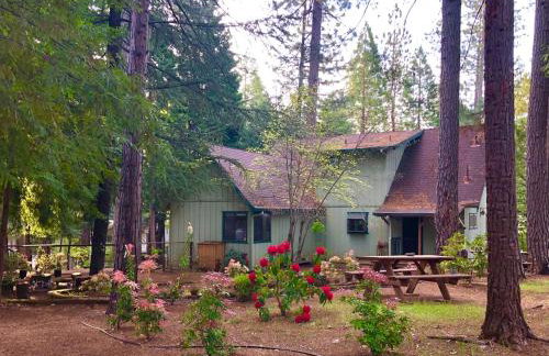 Groovy Cabin in the Woods - Foto 1