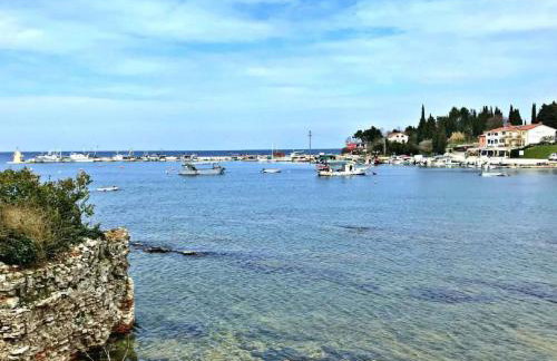 Apartment in Savudrija mit Privatem Garten und Panoramablick by Interhome - Foto 44