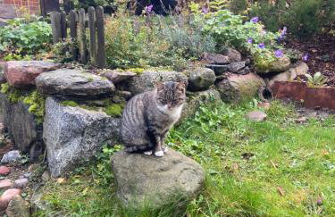 Feel-Harmonia w Nowym Kawkowie - Foto 35