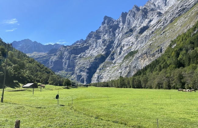 Spring Inn Apartments - Foto 46