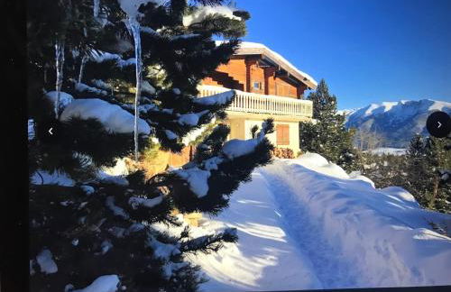 CHALET CAPRICES DES CIMES - Foto 1