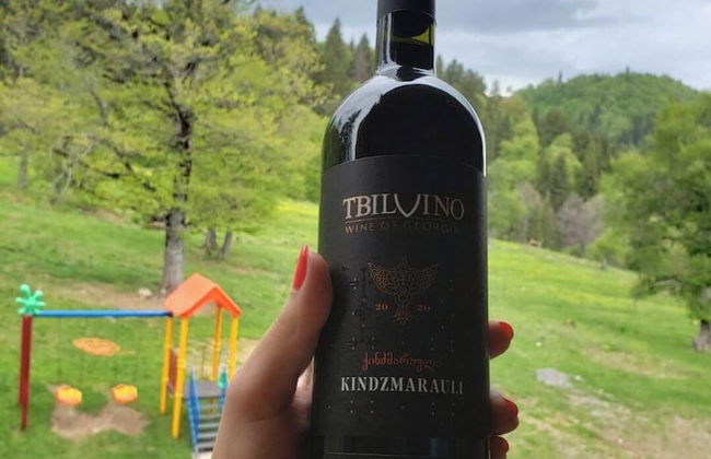 The Valley Bakuriani MountInn - Foto 8