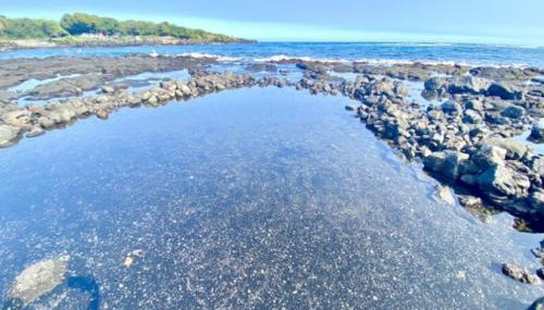 Beachfront 1 Bedroom Condo with Private Beach, Pool, Hot Tub - Foto 2