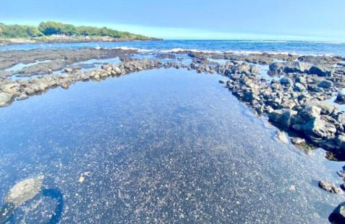 Beachfront 1 Bedroom Condo with Private Beach, Pool, Hot Tub - Foto 2