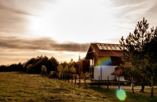 W Pelniku - Photo 28