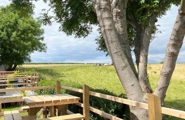 Sunnycott Caravan Park - Foto 30