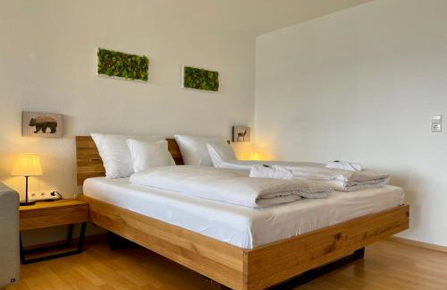 FeWo Längl -Waldluft- mit Pool und Sauna im Allgäu - Foto 5