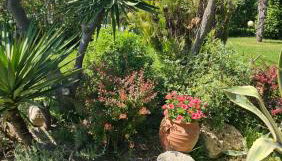 Make yourself at home in Halkidiki's paradise - Foto 2, Garden