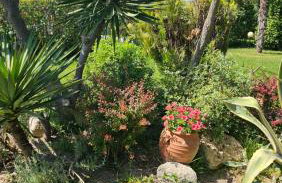 Make yourself at home in Halkidiki's paradise - Foto 2