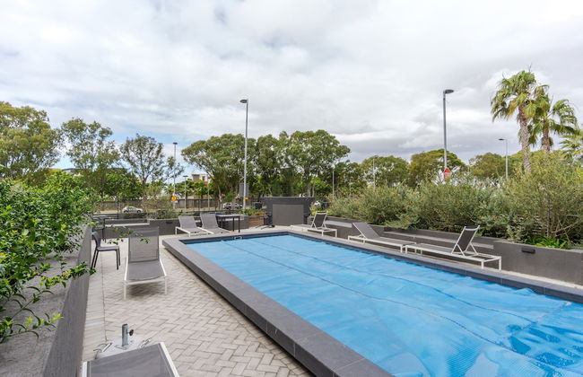 Warwick 502 - Foto 15