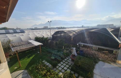 APPARTAMENT '' IL GIARDINO '' - Photo 2