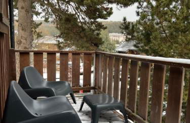 chalet de l ours - Foto 31