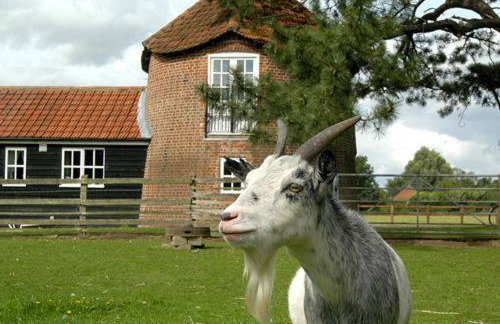 1 Bed in Dereham oc-miln8 - Foto 21