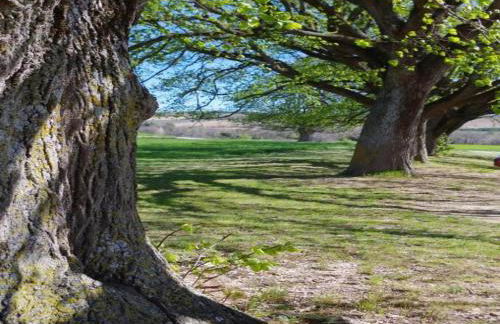 Nature & Adventure Highlights - Foto 33