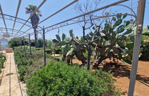 Villa Luisa Fronte Mare - Foto 61