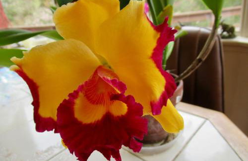 Heaven on Earth - Foto 21