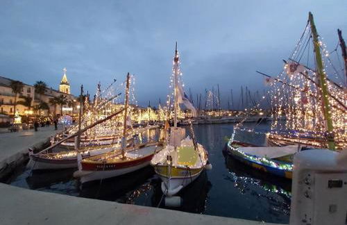 Appartement T2 Six Fours Cap Negre,1 mn à pied de la mer - Foto 28