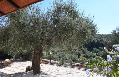 Villa Capalbio - Foto 19