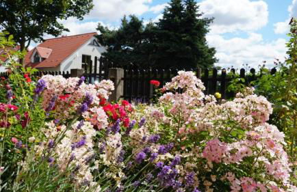 Pension Limone Ferienwohnung 2 - Foto 8