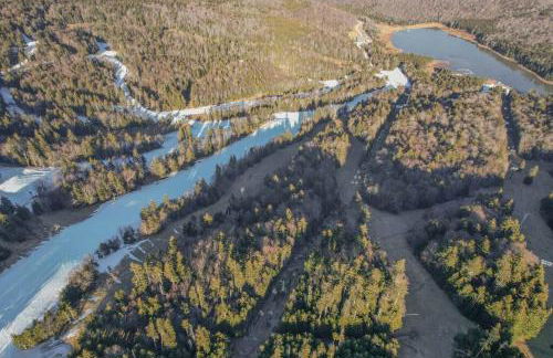 Cozy Condo at Summit - Foto 37