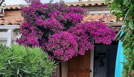 43-2 LES MAISONS DU RIVAGE BLEU - Foto 2, Garden