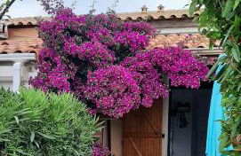 43-2 LES MAISONS DU RIVAGE BLEU - Foto 2