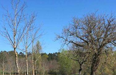 Peaceful, comfortable retreat with pool - Foto 54