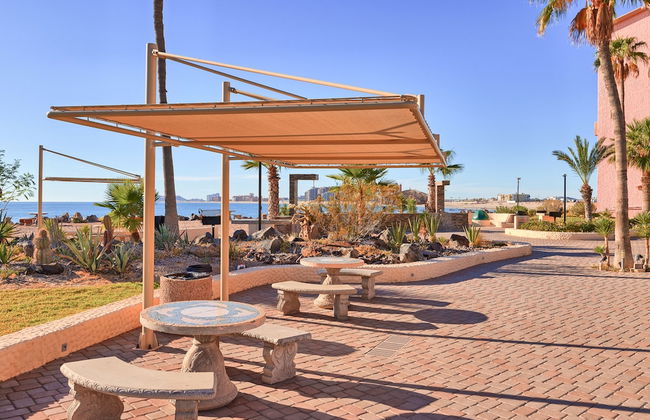 Pinacate 315 by Kivoya - Foto 43