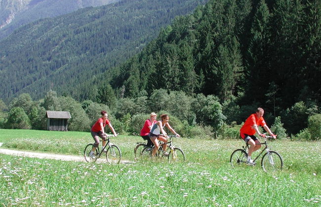 Chalet in Obervellach in Carinthia - Photo 30