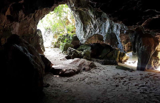 Excursão ao Parque Nacional Los Haitises - Foto 4