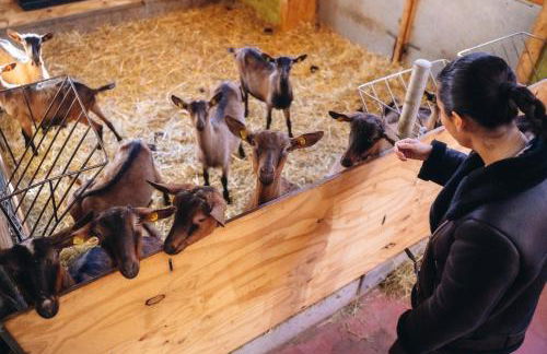 Les Chalets de Pierrot - Foto 47