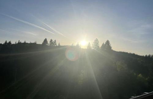 Ferienwohnung Schwarzwald - Foto 20