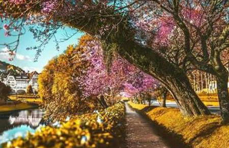 Stúdio Petrópolis, Alameda das Pedras - Foto 70