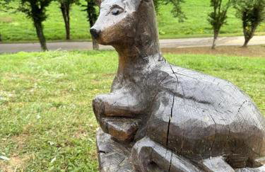 VILA LASOVIC + POOL + JACUZZI + SAUNA - Foto 49