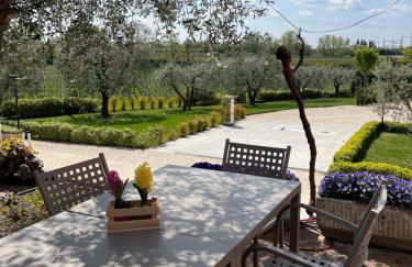 Agricamping Al grappolo diVino - Foto 10