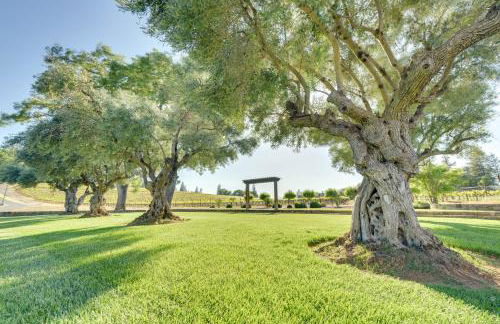 Kelseyville Vacation Rental about 5 Mi to Clear Lake! - Foto 24