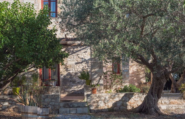 Vamos Fabrica Farm - Foto 45