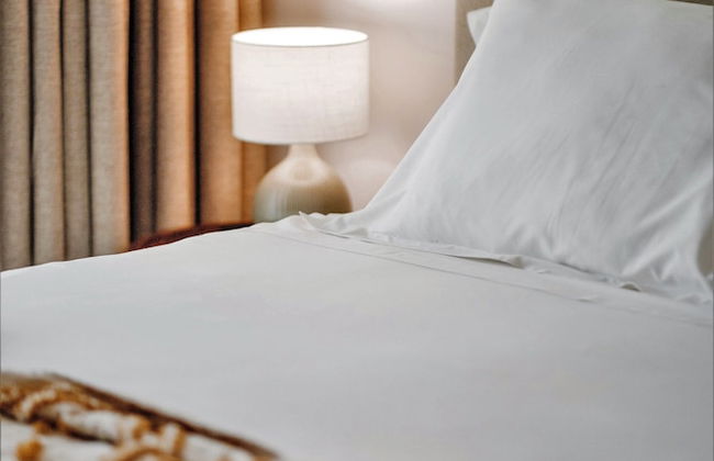 Casa do Santo - Wine & Tourism - Foto 2